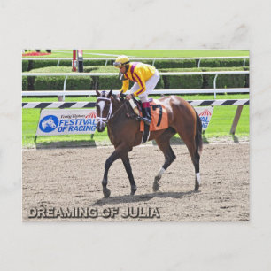 Dreaming of Julia Postcard