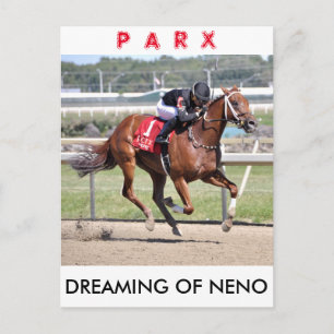 Dreaming of Neno Postcard