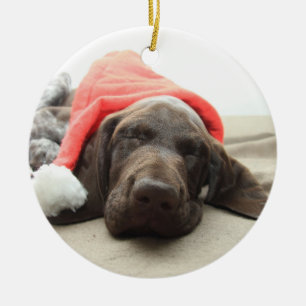 Dreaming of Santa - German Shorthair Puppy Ceramic Ornament