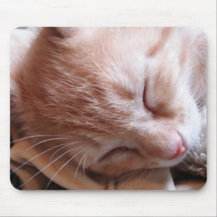 Dreaming of the mouse pad