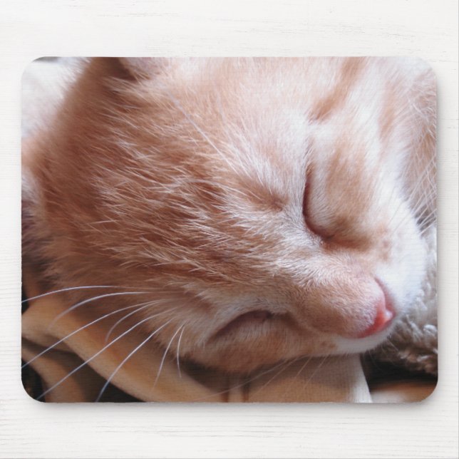 Dreaming of the mouse pad (Front)