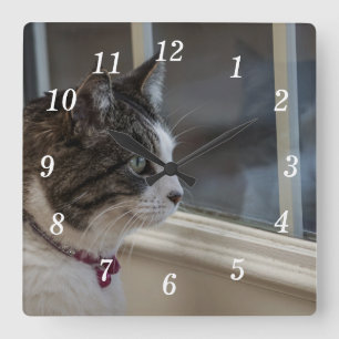 Dreaming Of Warmer Weather To Go Outside Clock