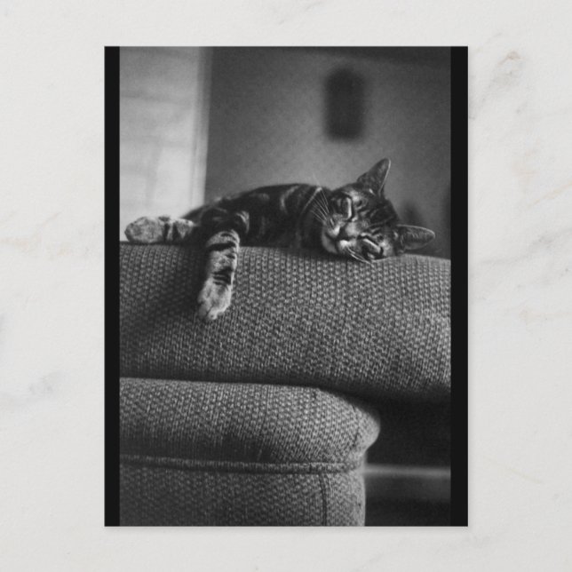 Dreaming Postcard (Front)