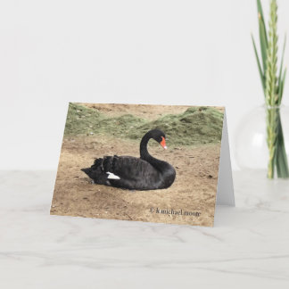 Dreaming the Sea Greeting Card - Blank
