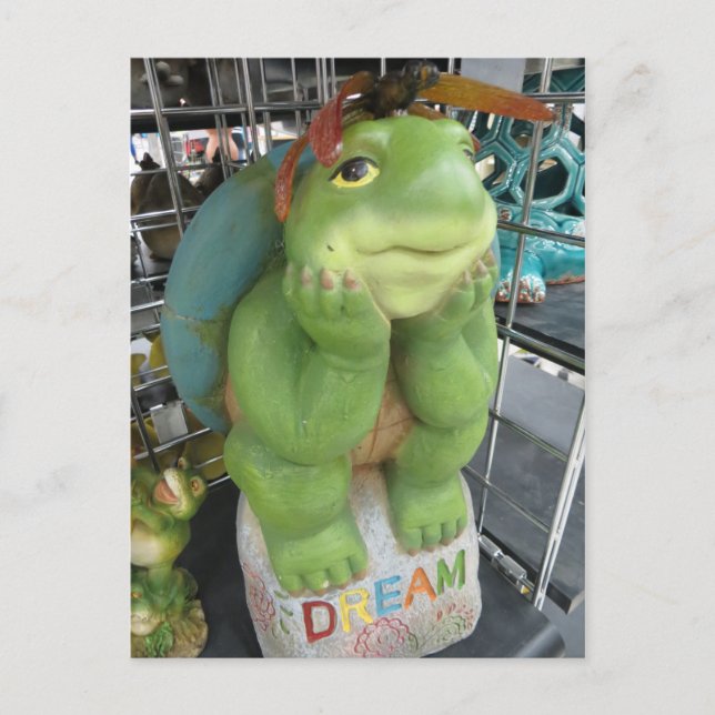 Dreaming Turtle Postcard (Front)