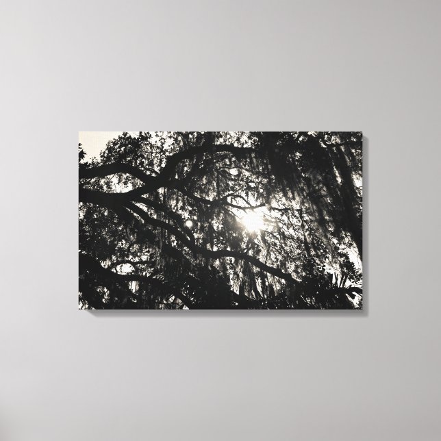 Dreaming Under the Oak Tree Wrapped Canvas (Front)