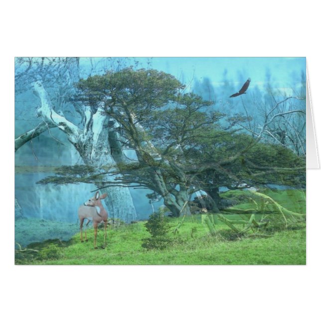 Dreams (Front Horizontal)