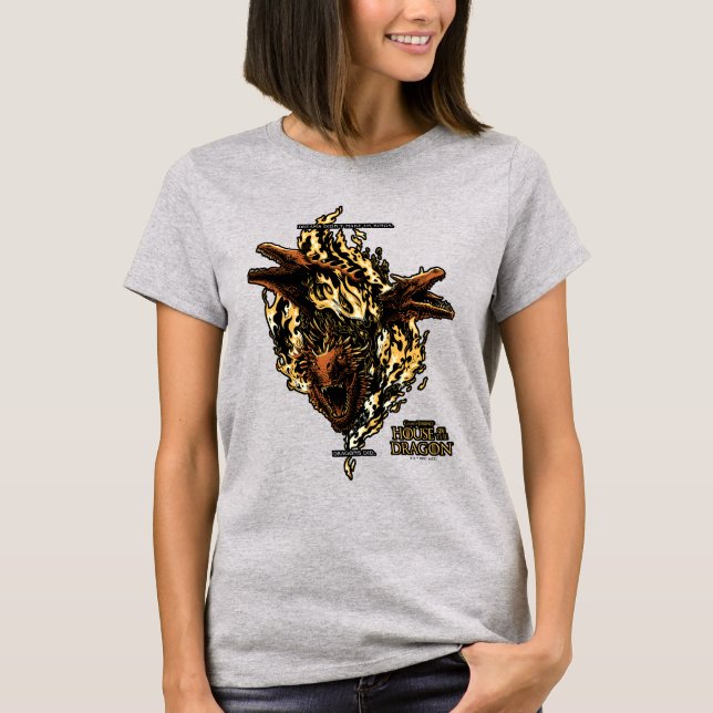 Dreams Didn't Make Us Kings. Dragons Did. T-Shirt (Front)