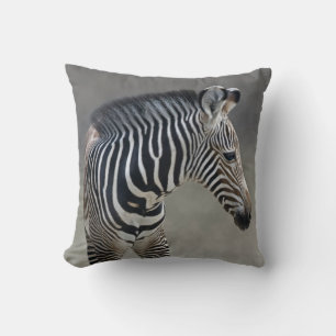Dreams in Black and White Pillow