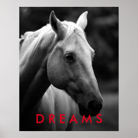 Dreams Motivational Black White Closeup Horse