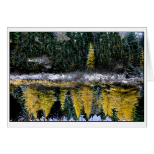 Dreams of a Young Tamarack