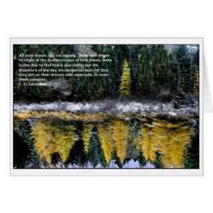 Dreams of a Young Tamarack