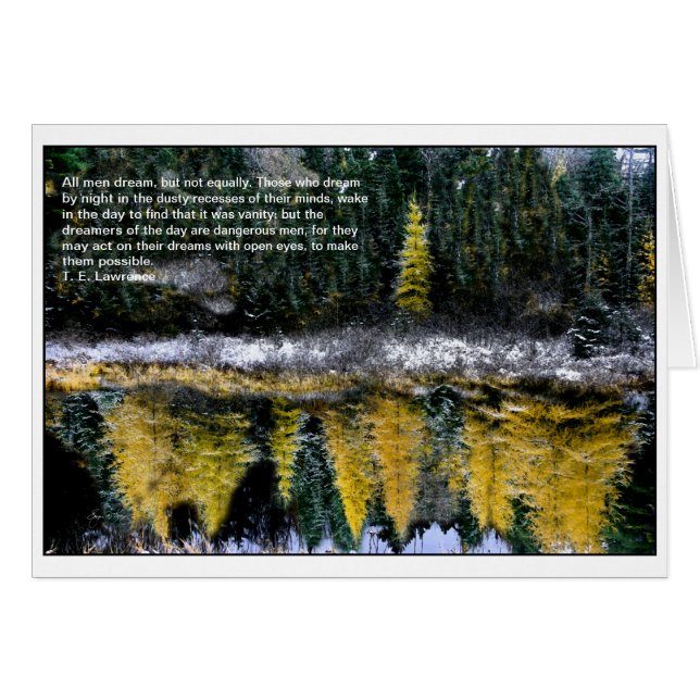 Dreams of a Young Tamarack (Front Horizontal)