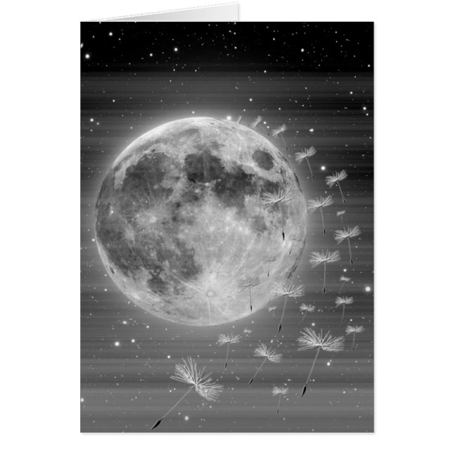 Dreams That Fly Card (Front)