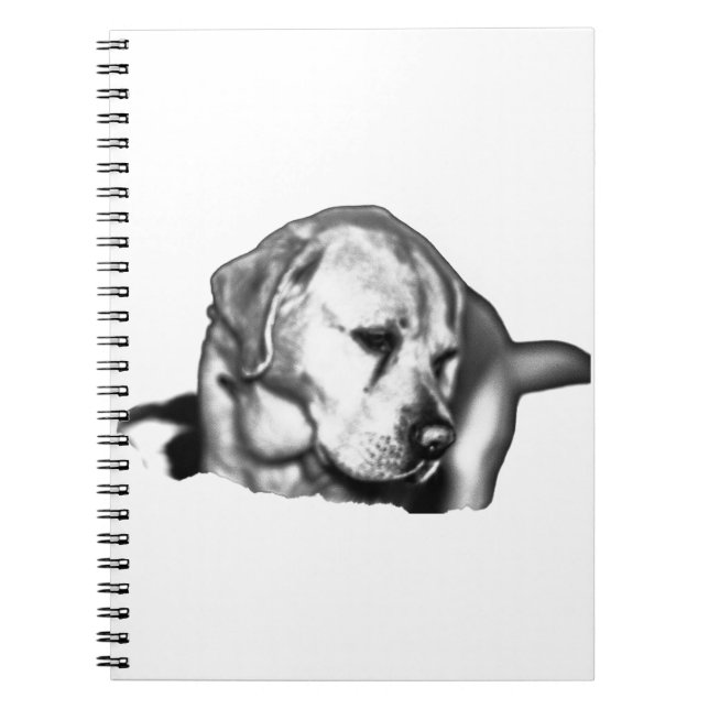 Dreamscape Reflections Notebook (Front)