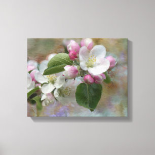 Dreamy Apple Blossoms Canvas Print