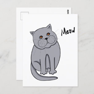 Dreamy cat with orange eyes postcard