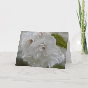 Dreamy Cherry Blossoms AH2010 Card