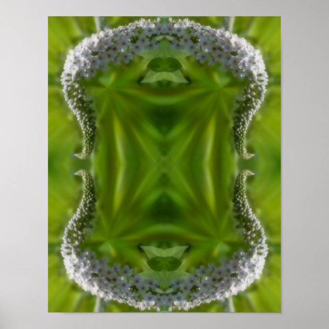 Dreamy Curling White Wildflower Abstract   Poster (Front)