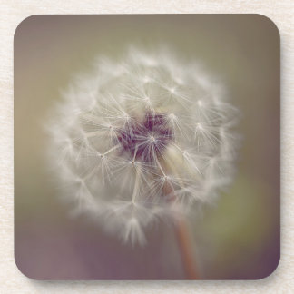 Dreamy Dandelion Art Hard plastic coaster 01