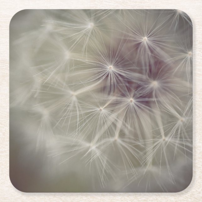 Dreamy Dandelion Art Paper Coaster 04 (Front)
