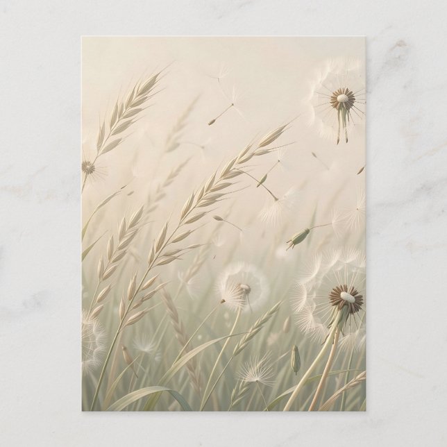Dreamy Dandelion Seeds Blowing Wind Soft Neutral  Postcard (Front)