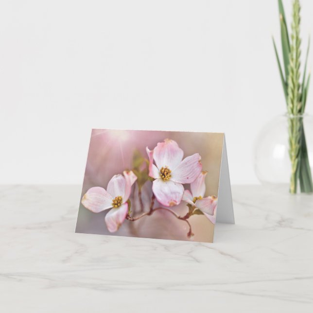 Dreamy Dogwood Blossoms All Occasion Note Cards (Front)