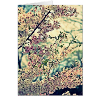 Dreamy Explosion (Blank Inside)