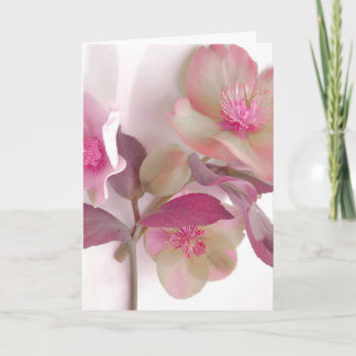 Dreamy Hellebores Paper Placemat Card