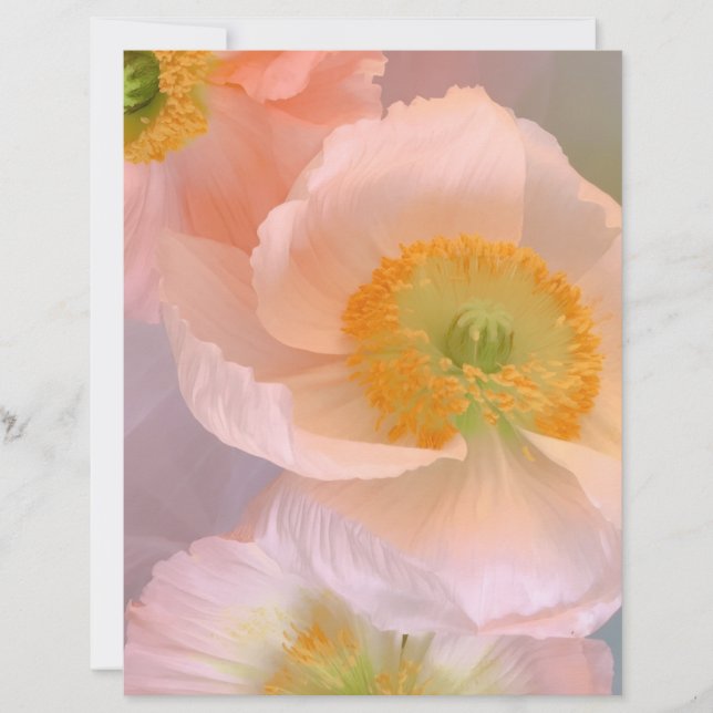 Dreamy Letterhead (Front)