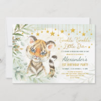 Dreamy Moon Tiger Twinkle Little Star 1st Birthday