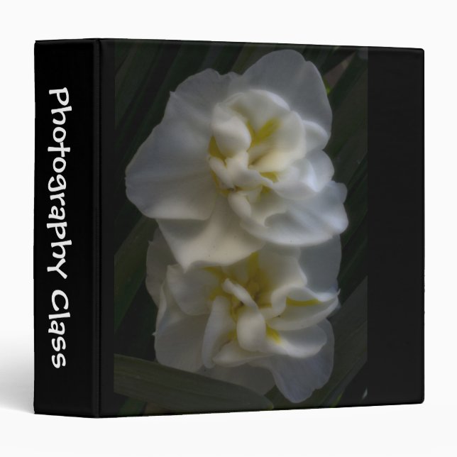 Dreamy Narcissus Daffodils Binder (Front/Spine)