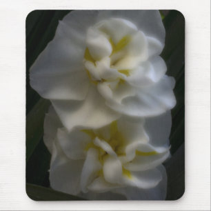 Dreamy Narcissus Daffodils Mouse Pad