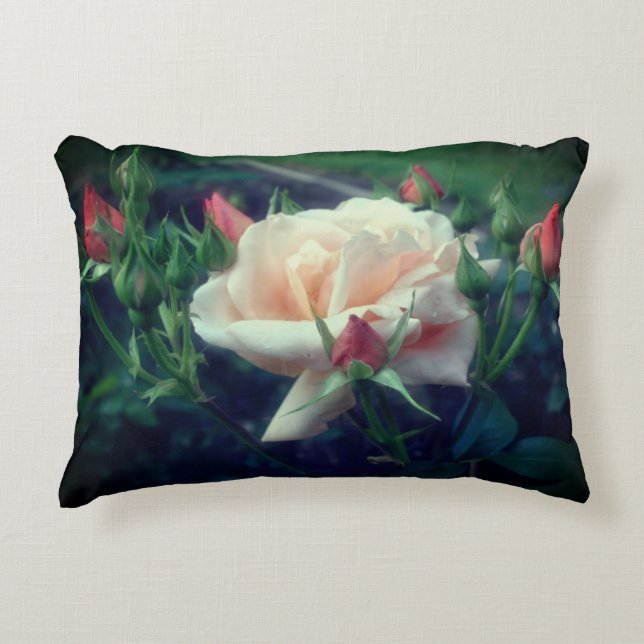 Dreamy Peach Rose And Buds   Accent Pillow (Front)