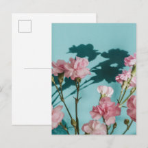 Dreamy pink carnation flowers on blue background