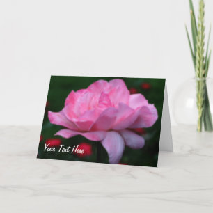 Dreamy Rose Rose Carte photo