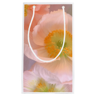 Dreamy Small Gift Bag