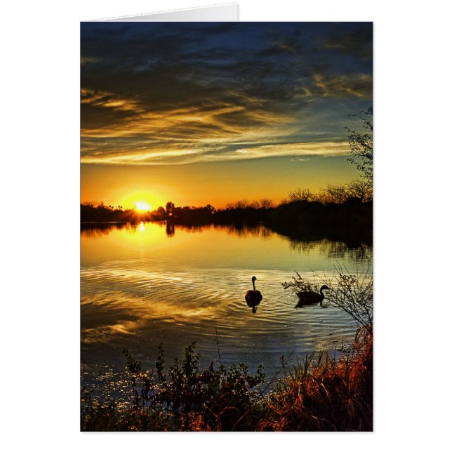 Dreamy Sunset (Front)