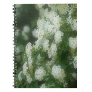 Dreamy Wild White Roses Flower Nature Notebook