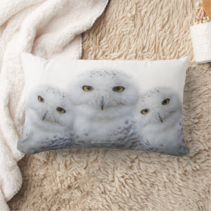 Dreamy Wisdom of Snowy Owls Lumbar Pillow