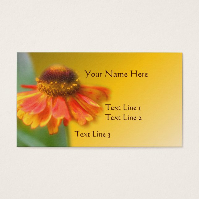 Dreamy Zinnia Flower Nature (Front)