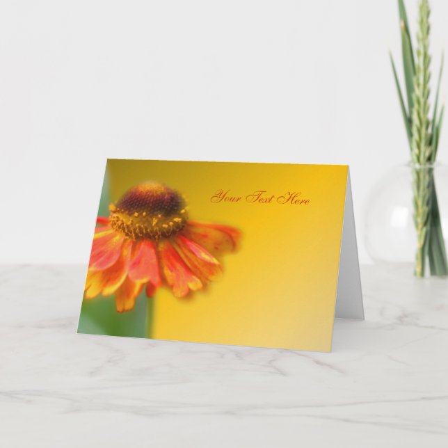 Dreamy Zinnia Flower Photo Card (Front)