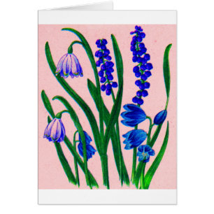 drêches à neige et scilla