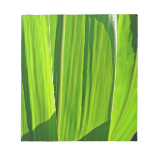 Drei grüne Maisblätter Notepad