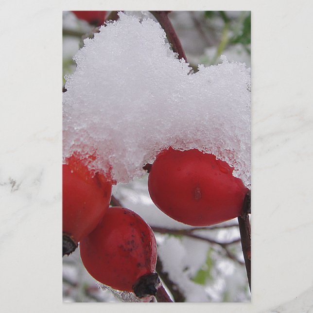 Drei Hagebutten mit Schnee (Front)