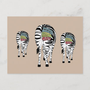 Drei Zebras  Postcard