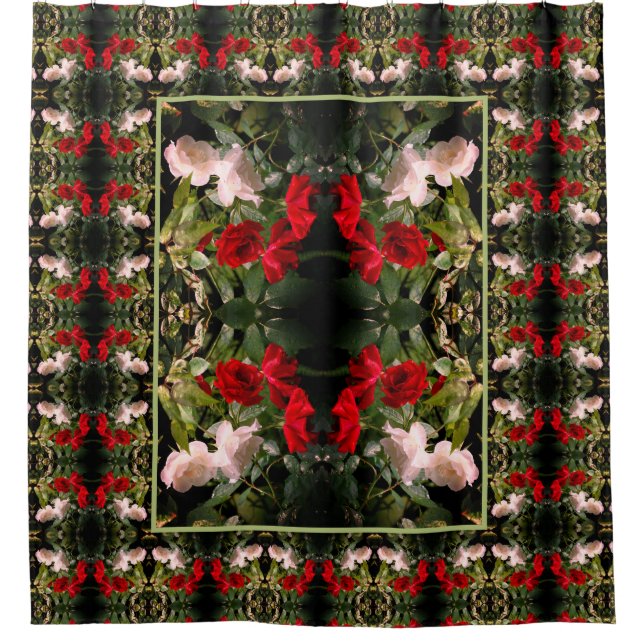 Drenched Red And White Roses Abstract    (Front)