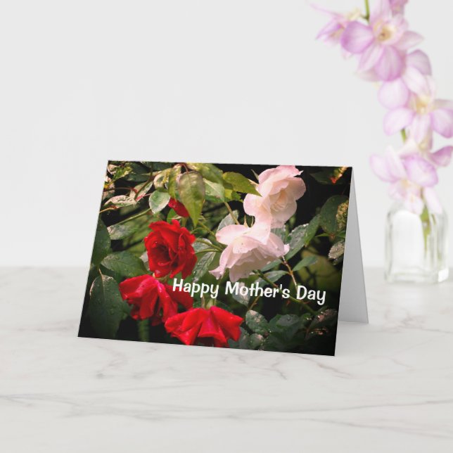 Drenched Roses Flower Mother's Day Card (Orchid)