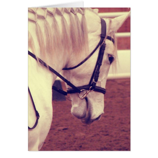 Dressage Horse Faux Vintage (Devant)