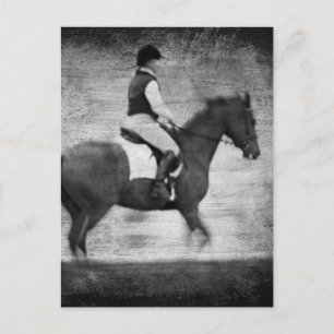 Dressage in Black and White Grunge Postcard